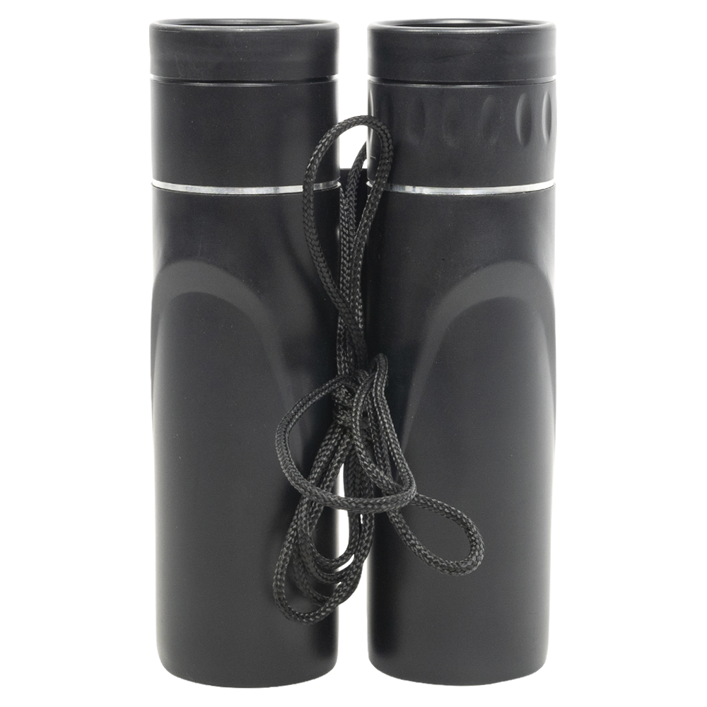 Бинокль BORNER 10X25 Roof BK-4. Фото №3