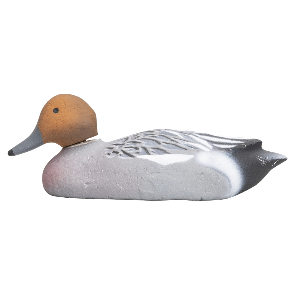 Муляж Свиязь-Селезень (Томск). Фото №3