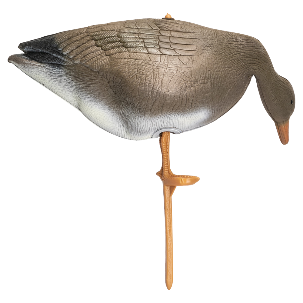 Гусь гуменник кормящийся (надувной). Фото №1 Гусь гуменник кормящийся (надувной). Фото №1