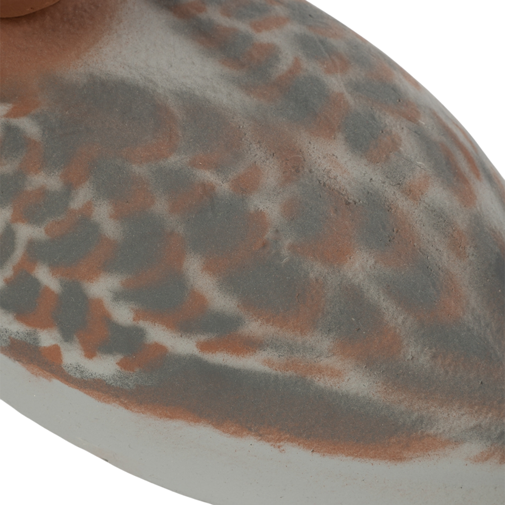 Муляж Красноголовый нырок - Утка (Томск). Фото №4