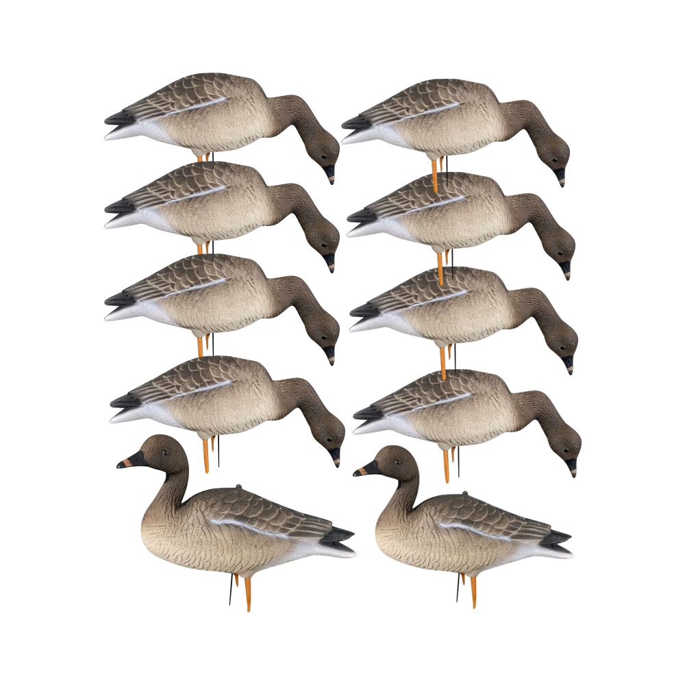 Гуменник гусь OSCAR DECOYS ELITE 3D Bean Goose Мягкий пластик 10 шт (8+2) EGG10. Фото №3 Гуменник гусь OSCAR DECOYS ELITE 3D Bean Goose Мягкий пластик 10 шт (8+2) EGG10. Фото №3