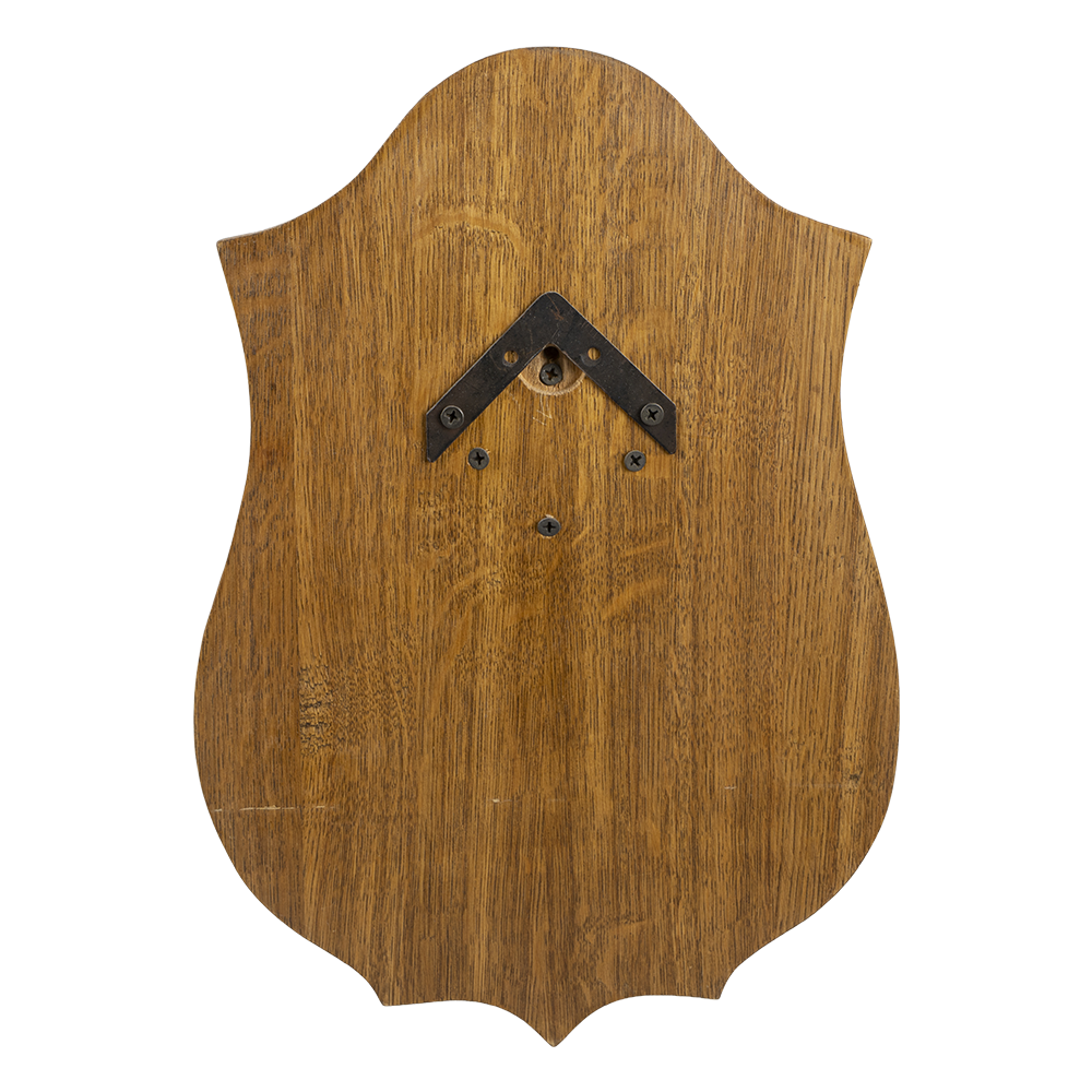 Чучело "Голова щуки". Фото №4 Чучело "Голова щуки". Фото №4