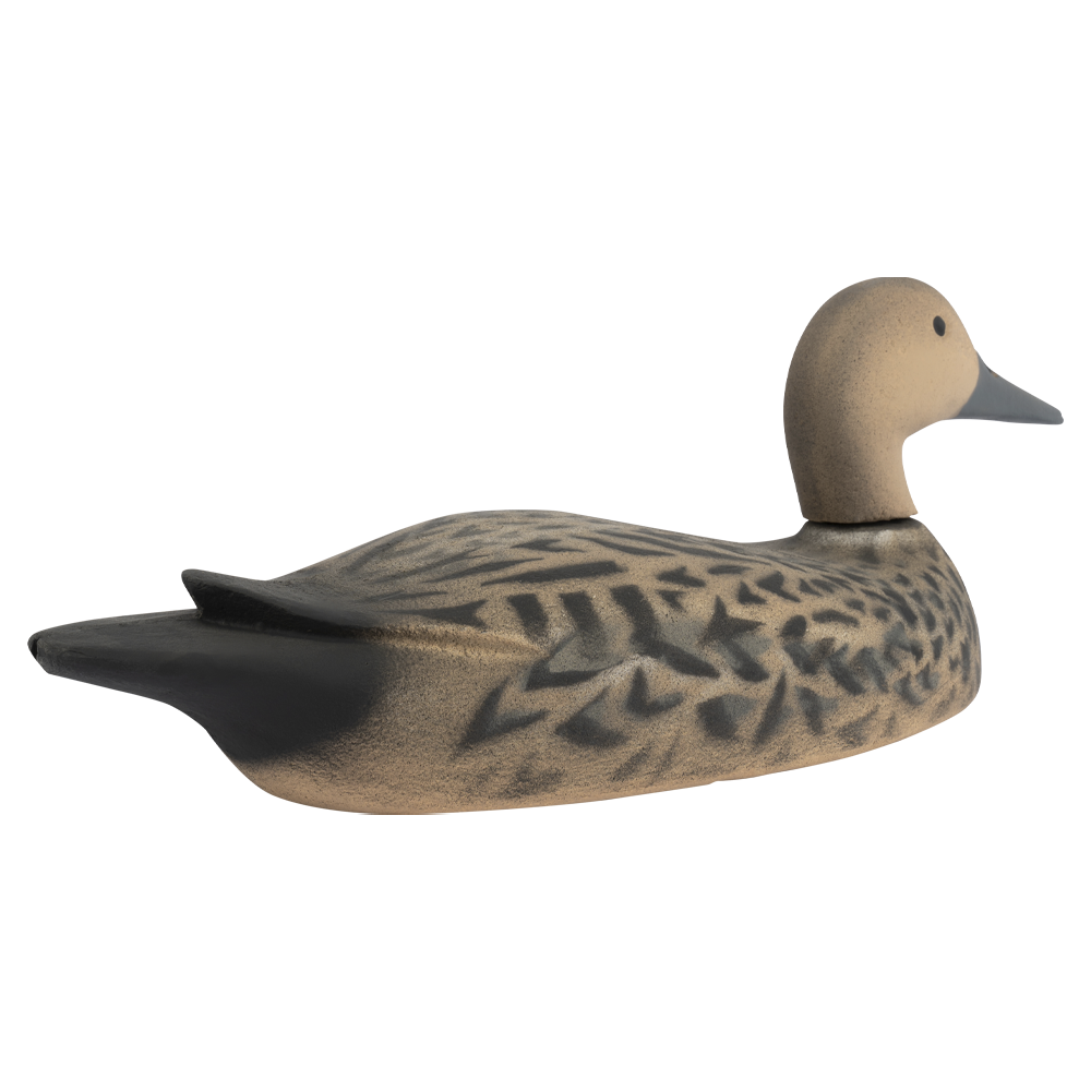 Муляж Шилохвость - Утка (Томск). Фото №2