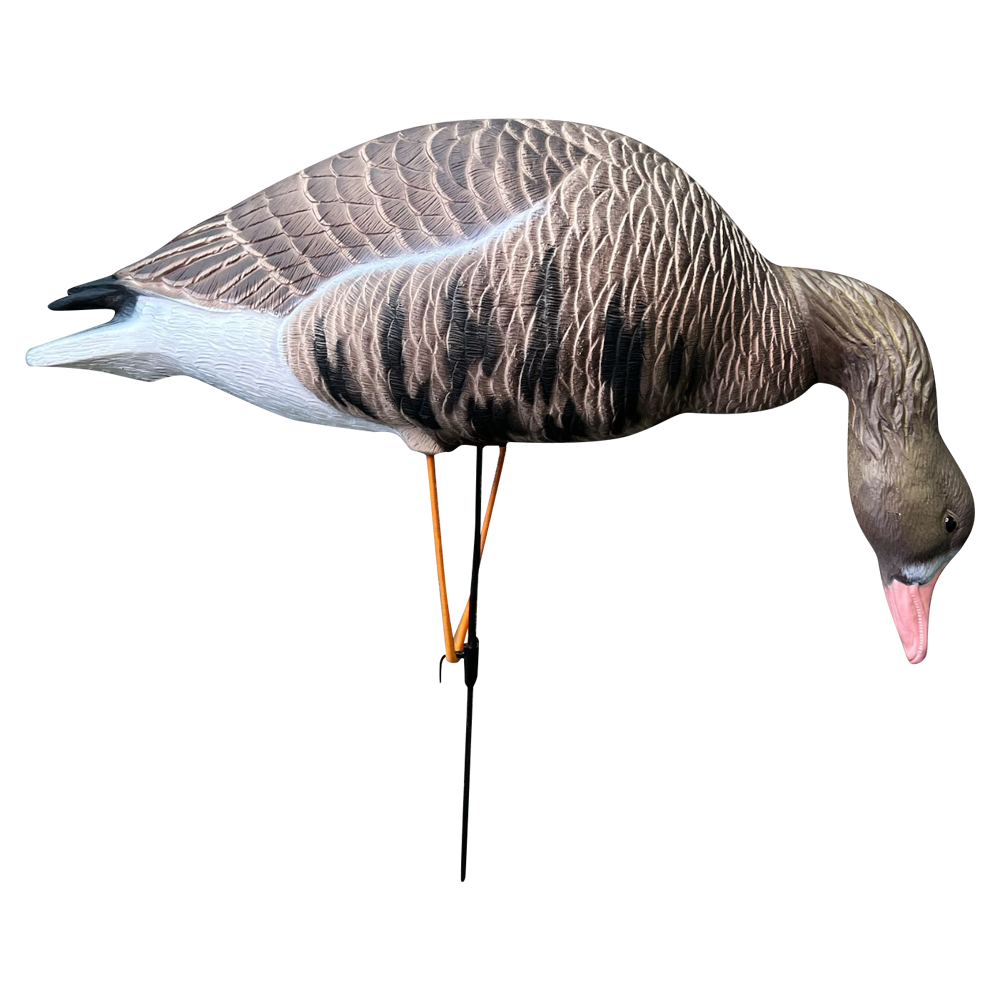 Белолобый гусь Oscar Decoys Avian-Mix ELITE 3D 6 шт Сминаемые(3-корм,2-отд,1-сторож)Съем.гол.ESG6. Фото №3 Белолобый гусь Oscar Decoys Avian-Mix ELITE 3D 6 шт Сминаемые(3-корм,2-отд,1-сторож)Съем.гол.ESG6. Фото №3