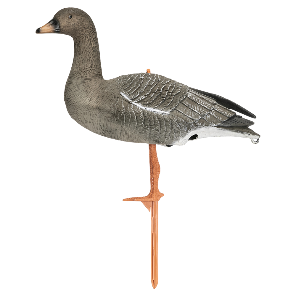 Чучело Sport Plast гусь Гуменник сторожевой. Фото №4
