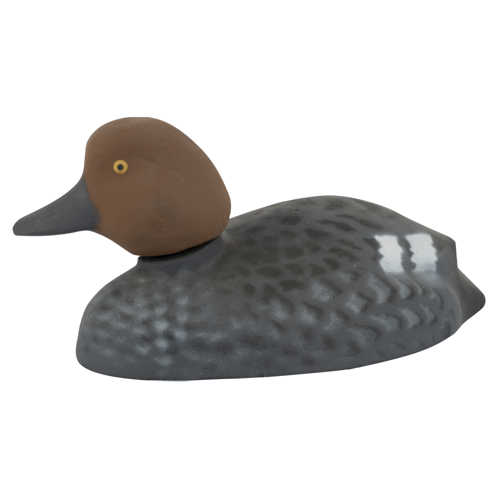 Муляж Гоголь-Утка (Томск). Фото №1