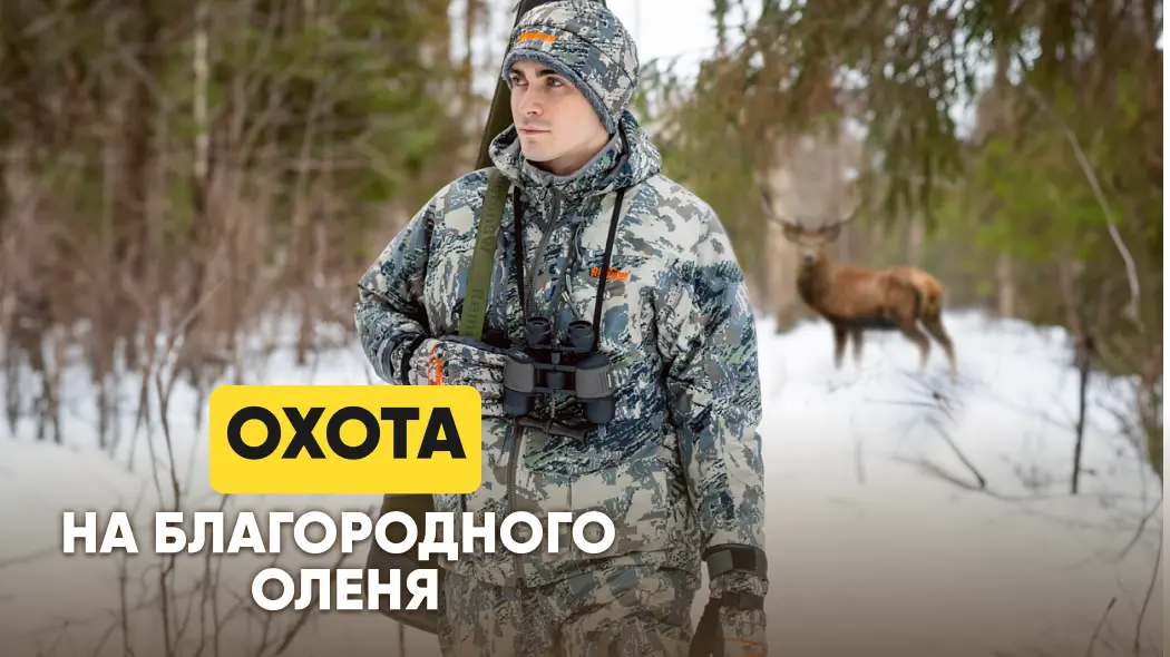 Как охотиться на оленя: сроки; способы: на реву, с подхода, с вышки