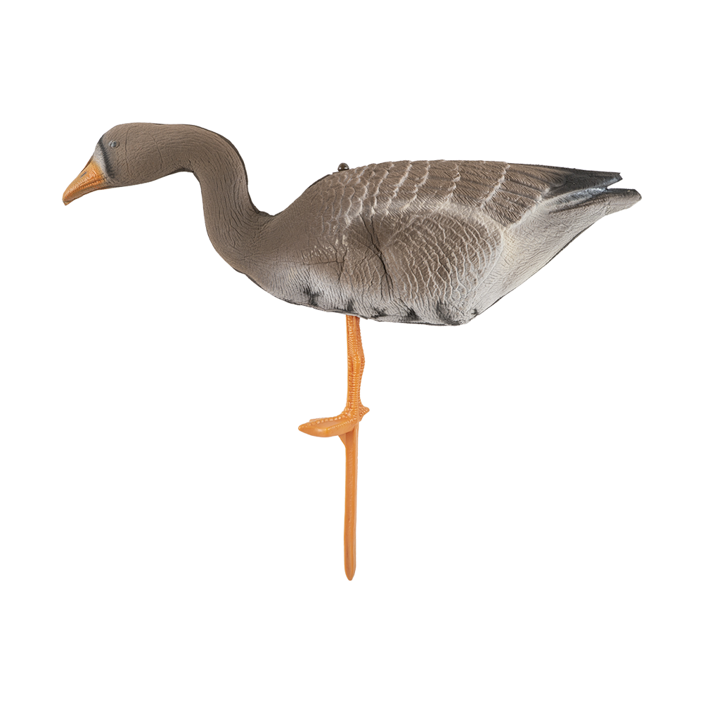 Чучело гусь белолобый прямосмотрящий Флокированный (цвет UVB1). Фото №1 Чучело гусь белолобый прямосмотрящий Флокированный (цвет UVB1). Фото №1