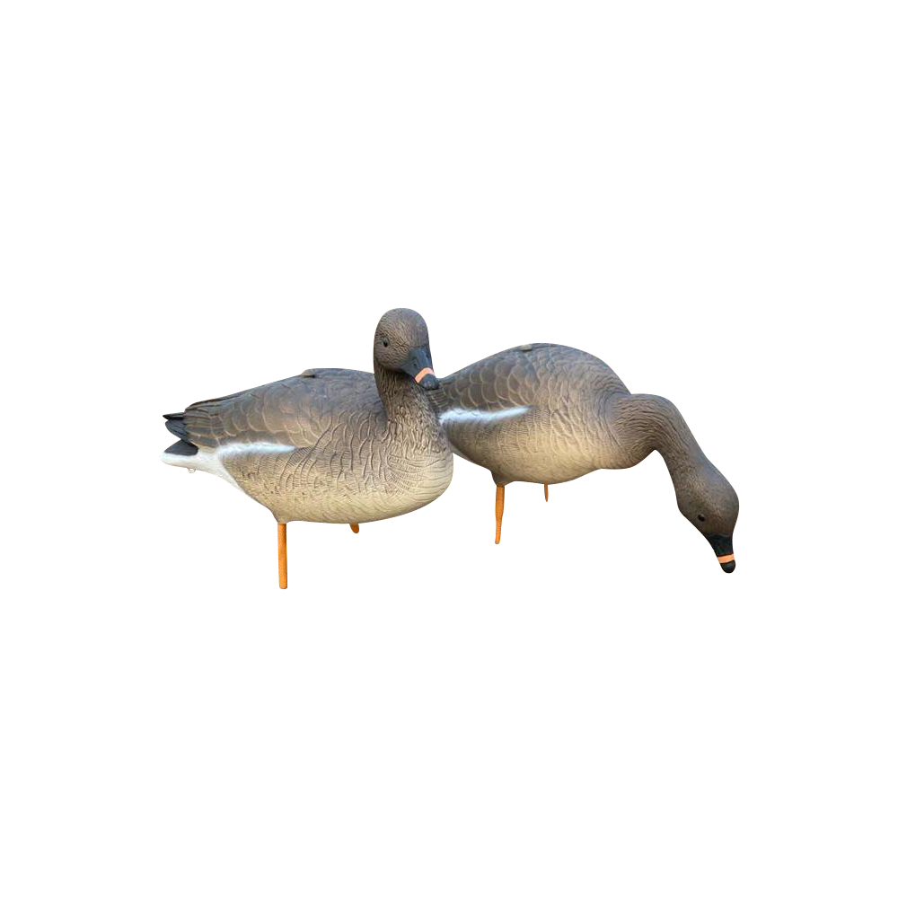 Гуменник гусь OSCAR DECOYS ELITE 3D Bean Goose Мягкий пластик 10 шт (8+2) EGG10. Фото №1 Гуменник гусь OSCAR DECOYS ELITE 3D Bean Goose Мягкий пластик 10 шт (8+2) EGG10. Фото №1