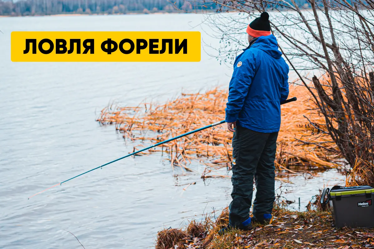 Ловля форели: где и как ловить; снасти, сезоны и погода Ловля форели: где и как ловить; снасти, сезоны и погода