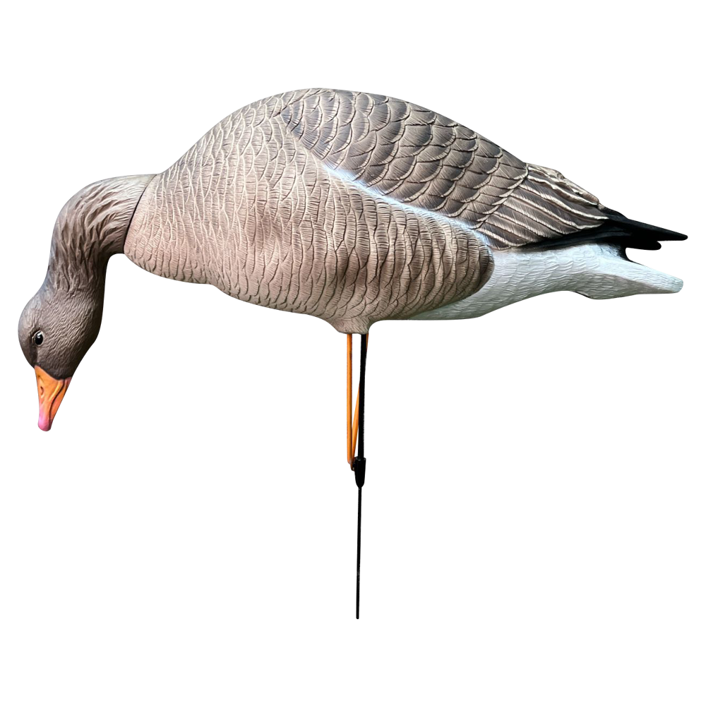 Серый гусь Oscar Decoys Avian-Mix ELITE 3D 6 шт Сминаемые (3-корм,2-отд,1-сторож)Съемные головы ELG6. Фото №5