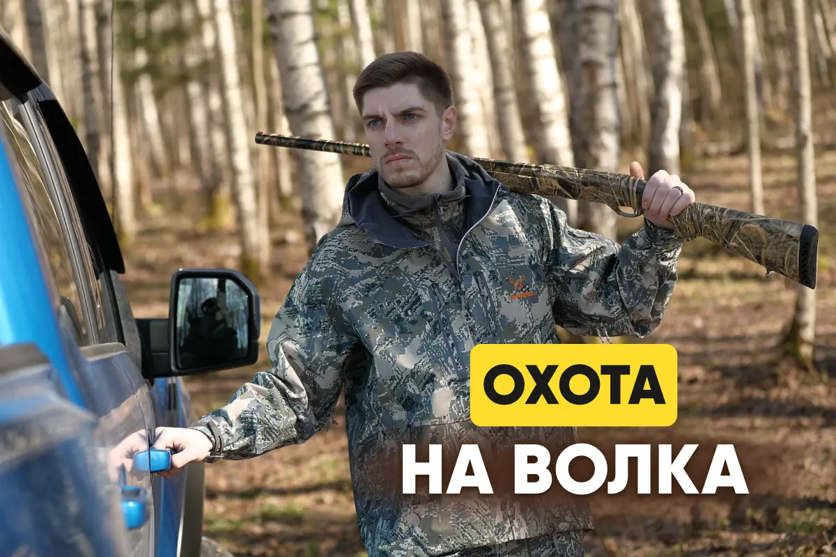 Охота на волка: скрадом, на вабу, на приваде, с флажками, с собакой Охота на волка: скрадом, на вабу, на приваде, с флажками, с собакой