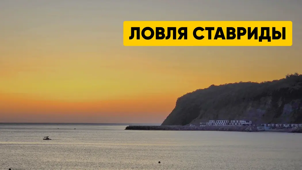 Ловля ставриды: где и как ловить, время суток, снасти и наживки