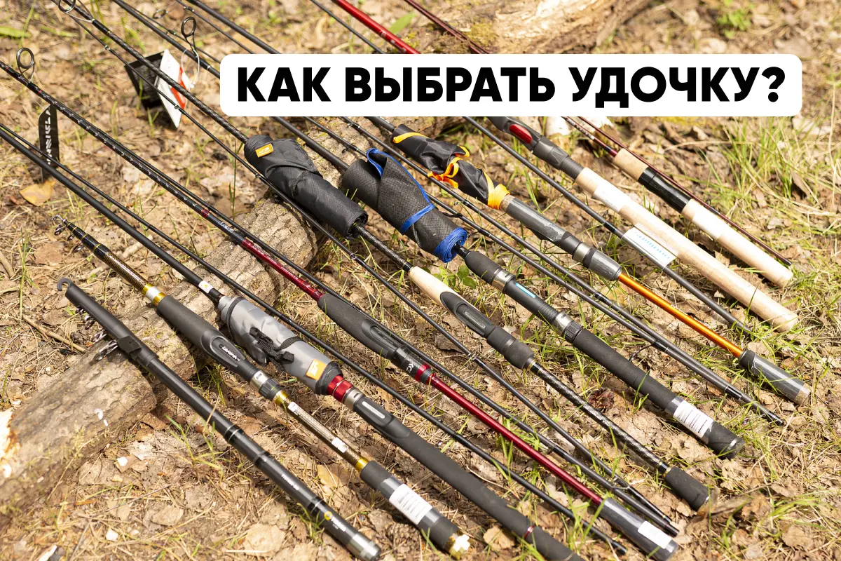 Как выбрать удочку: критерии выбора, виды удилищ, особенности Как выбрать удочку: критерии выбора, виды удилищ, особенности