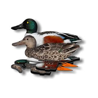 Комплект чучел уток NRA FUD Northern Shoveler (Широконоска). Фото №2 Комплект чучел уток NRA FUD Northern Shoveler (Широконоска). Фото №2
