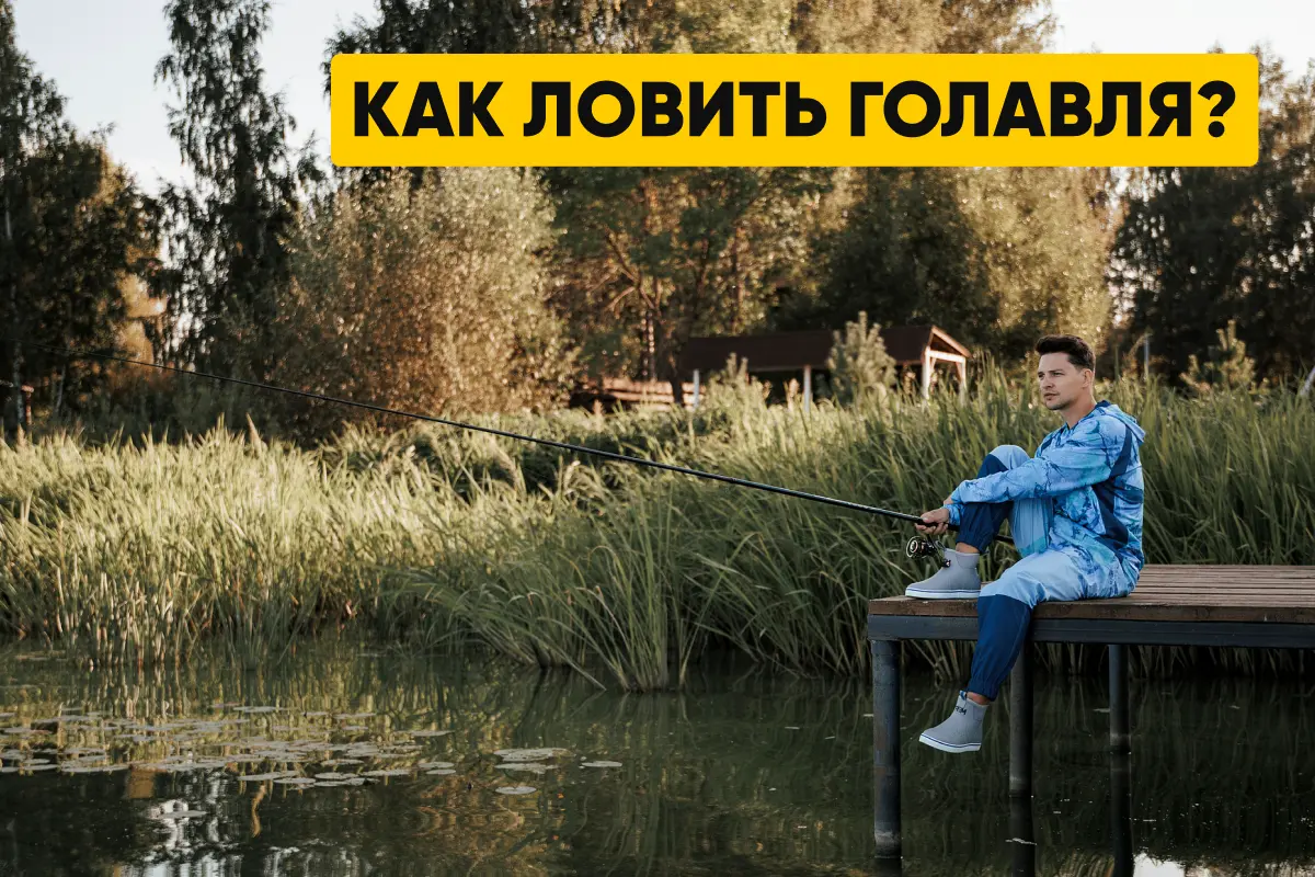 Как ловить голавля на реке: время клева, особенности ловли, техники