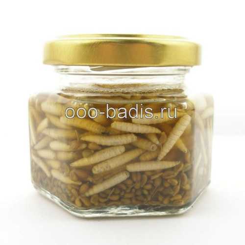 Опарыш маринованный Viking «АНИС». Фото №1