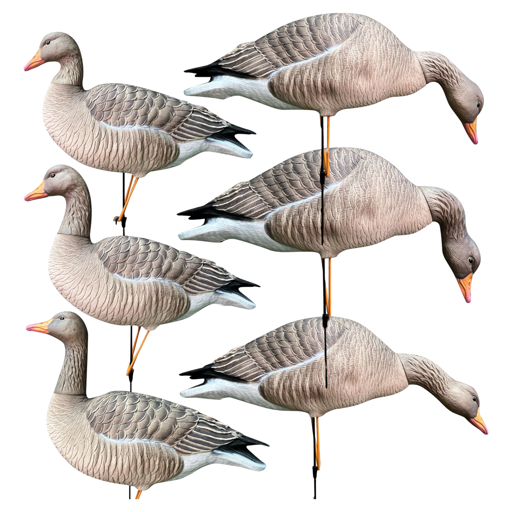 Серый гусь Oscar Decoys Avian-Mix ELITE 3D 6 шт Сминаемые (3-корм,2-отд,1-сторож)Съемные головы ELG6. Фото №6