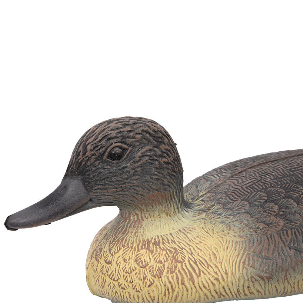 Кряква утка (П/эт.). Фото №2