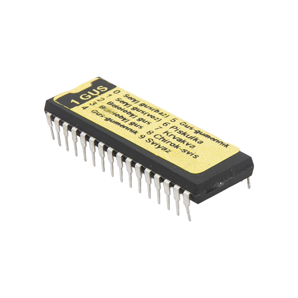 Чип №1 (гусь) Mundi Sound. Фото №3 Чип №1 (гусь) Mundi Sound. Фото №3