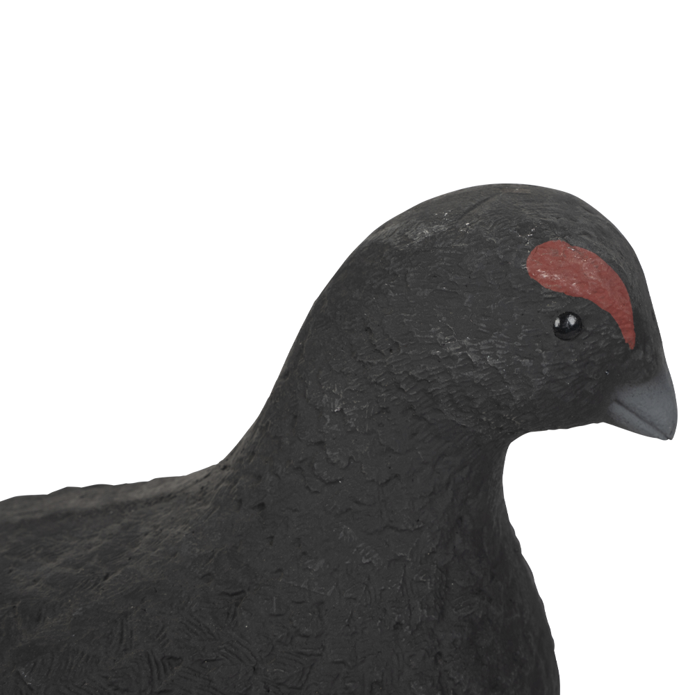 Муляж Тетерев (Томск). Фото №2