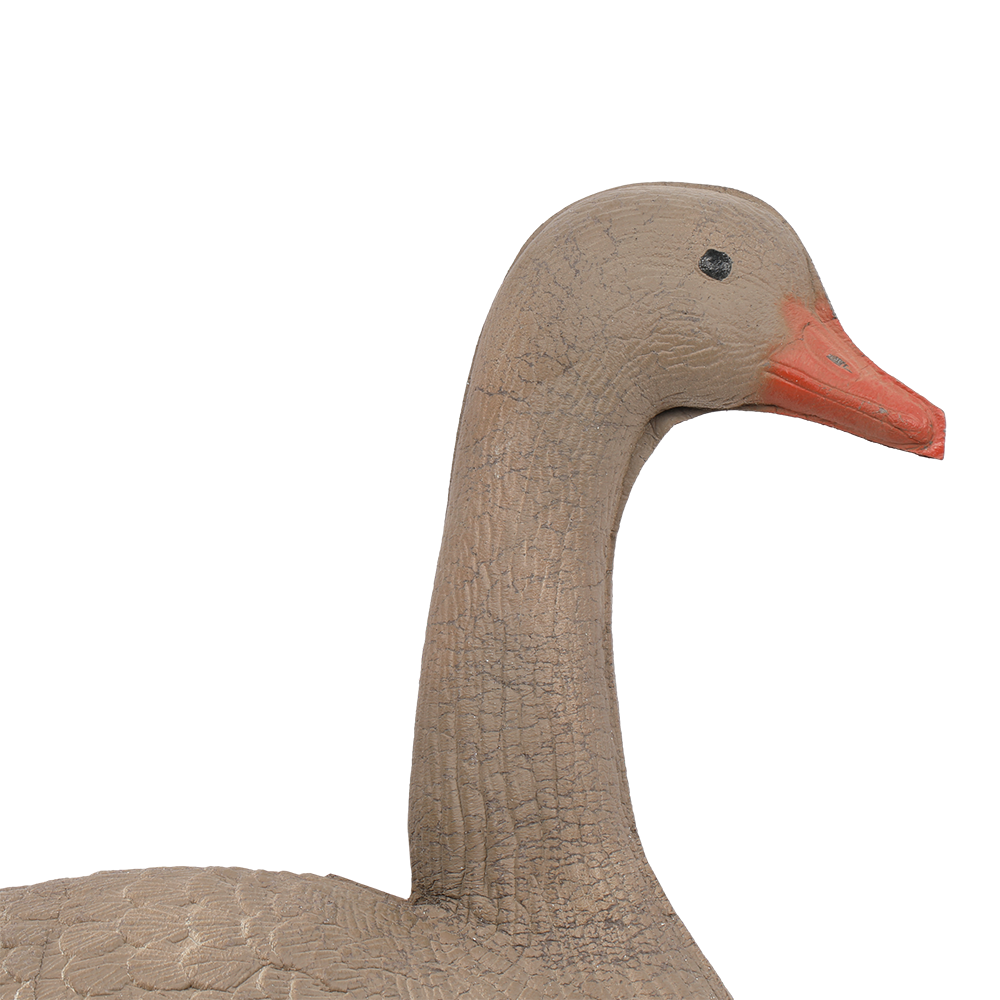 Гусь гуменник сторожевой (надувной). Фото №2 Гусь гуменник сторожевой (надувной). Фото №2