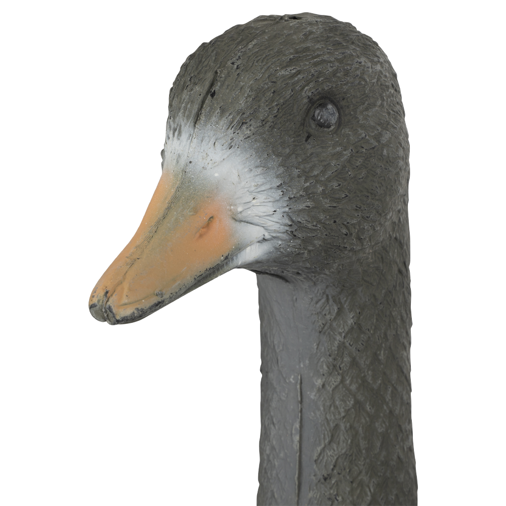 Гусь полукорпусной. Фото №2 Гусь полукорпусной. Фото №2