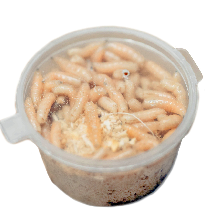 Опарыш смесь. Фото №2