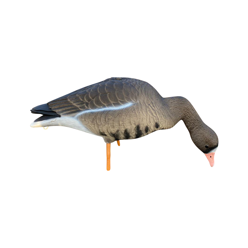 Белолобый гусь OSCAR DECOYS ELITE 3D Speckbelly Goose Мягкий пластик 10 шт (8+2) ESG10. Фото №2 Белолобый гусь OSCAR DECOYS ELITE 3D Speckbelly Goose Мягкий пластик 10 шт (8+2) ESG10. Фото №2