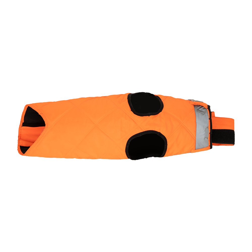 Жилет BS Planet для собак (самец). Фото №3