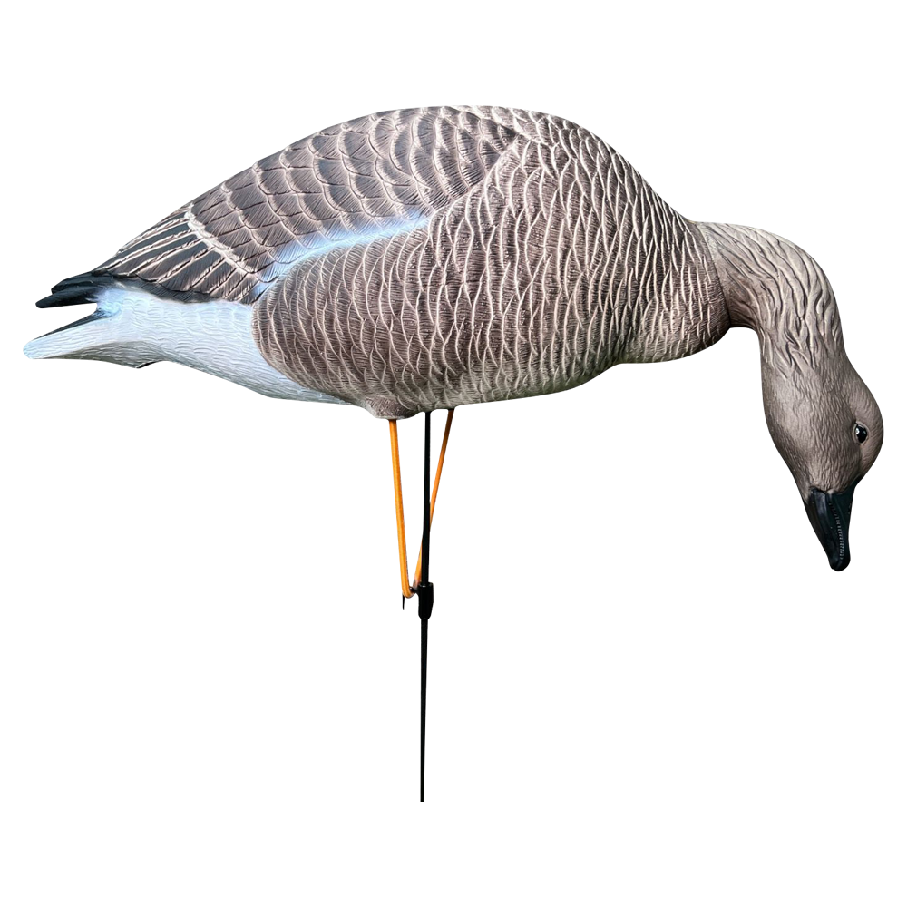 Гуменник гусь Oscar Decoys Avian-Mix ELITE 3D 6 шт Сминаемые(3-корм,2-отд,1-сторож)Съем.гол.EGG6 . Фото №4 Гуменник гусь Oscar Decoys Avian-Mix ELITE 3D 6 шт Сминаемые(3-корм,2-отд,1-сторож)Съем.гол.EGG6 . Фото №4