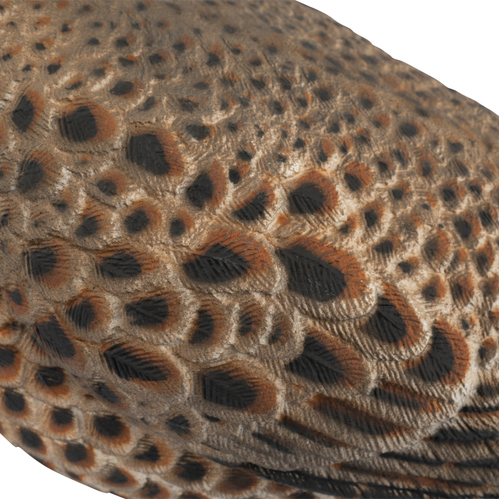 Муляж Тетерка (Томск). Фото №4