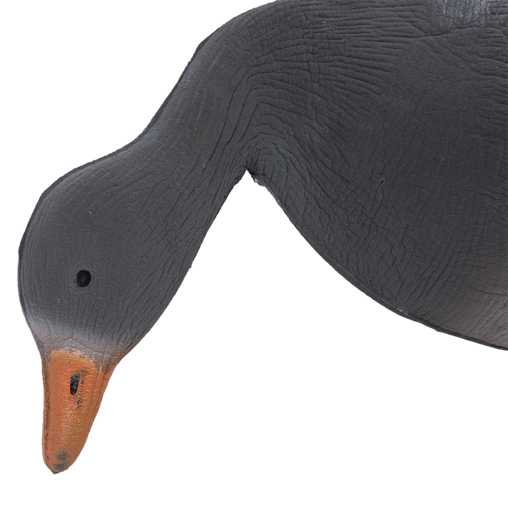 Муляж Гусь белолобый кормящийся (надувной). Фото №2 Муляж Гусь белолобый кормящийся (надувной). Фото №2