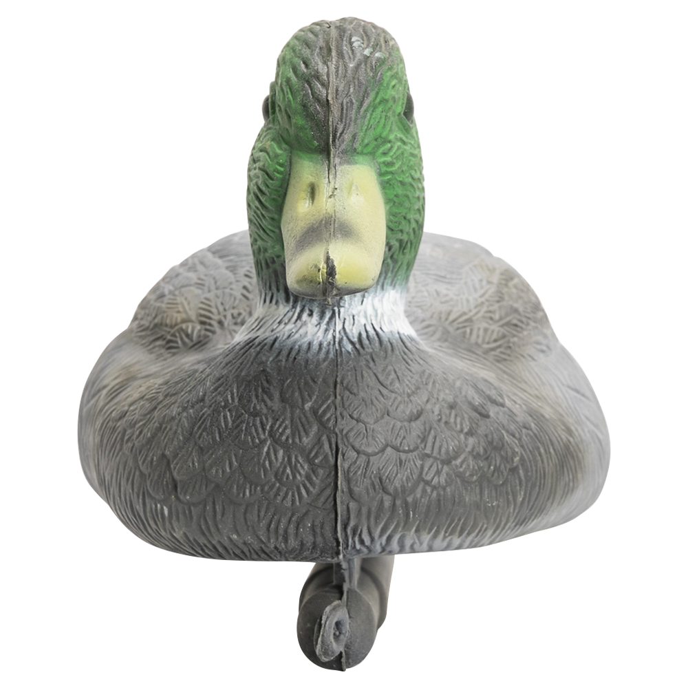 Кряква селезень (П/эт.). Фото №2