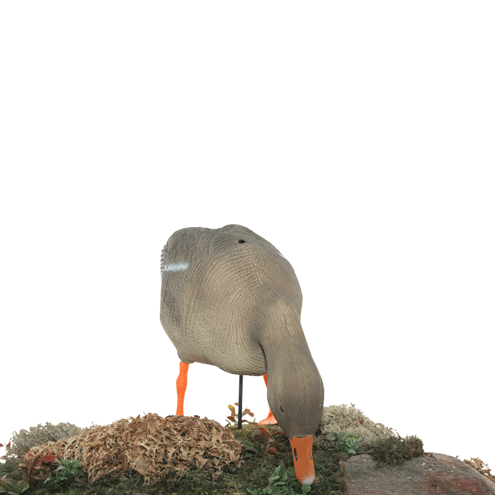 Серый гусь KING CUSTOM OSCAR DECOYS Greylag Goose Мягкий пластик 10 шт (8+2) EG10. Фото №3