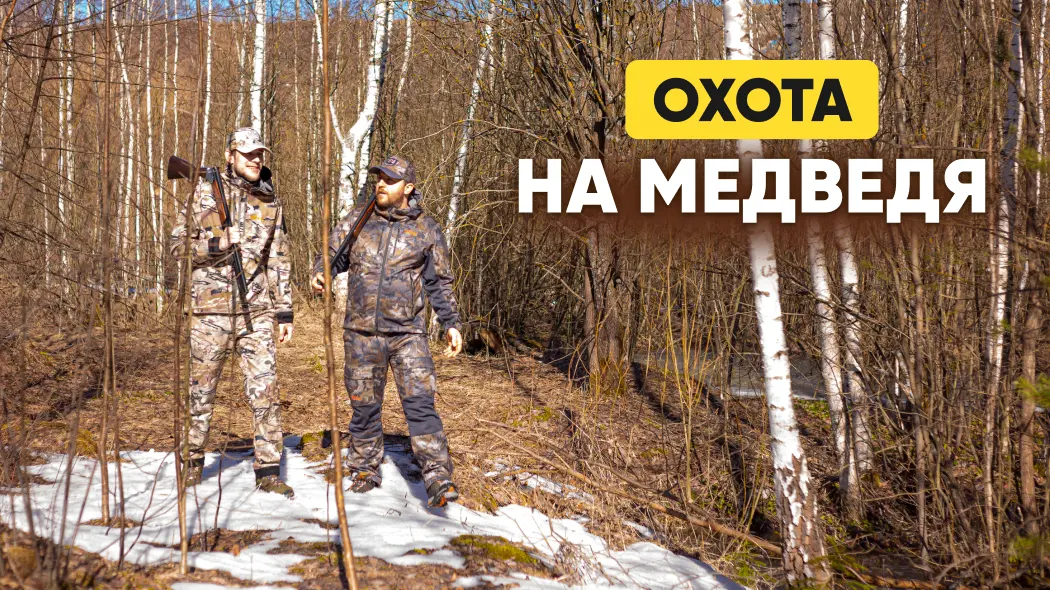 Охота на медведя: с лабаза, с подхода, на приваде, на овсах, с лайками