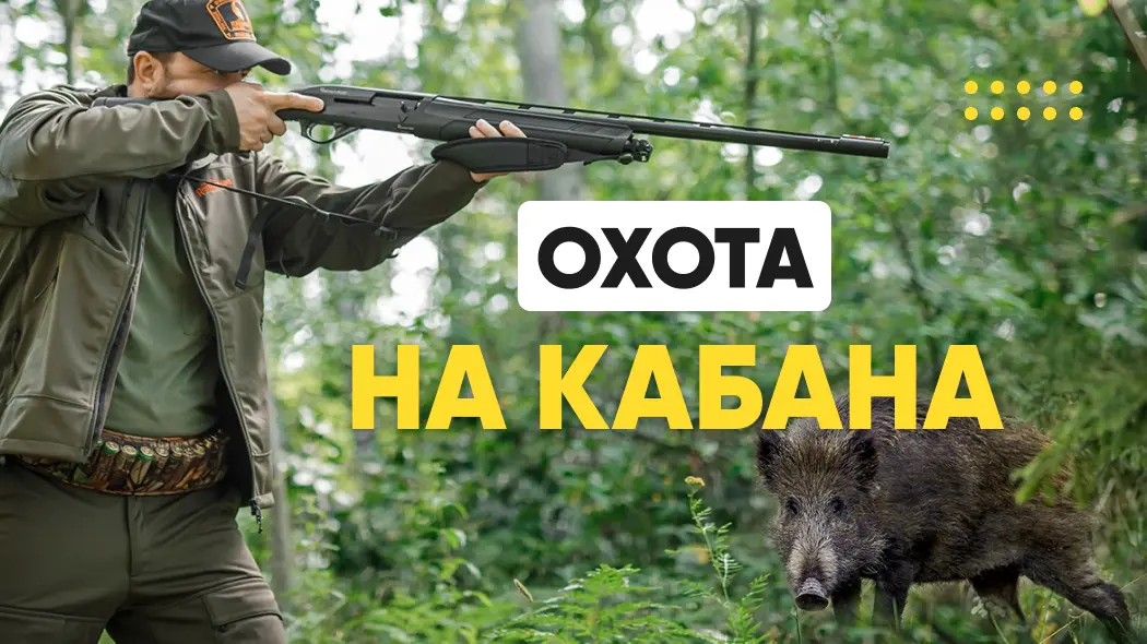 Охота на кабана: способы и особенности, снаряжение