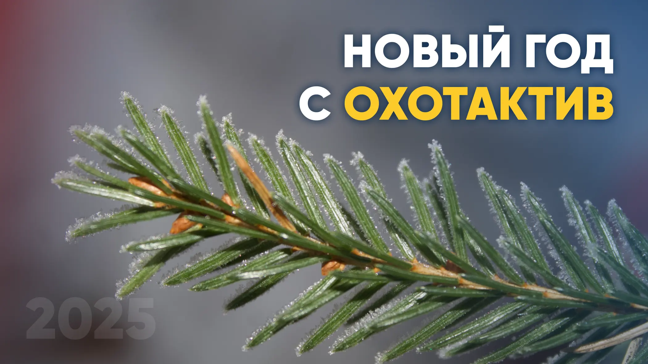 Новый год с ОхотАктив