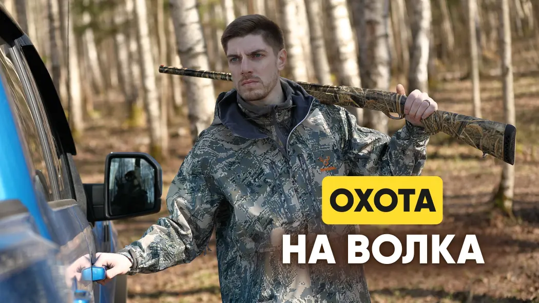Охота на волка: скрадом, на вабу, на приваде, с флажками, с собакой