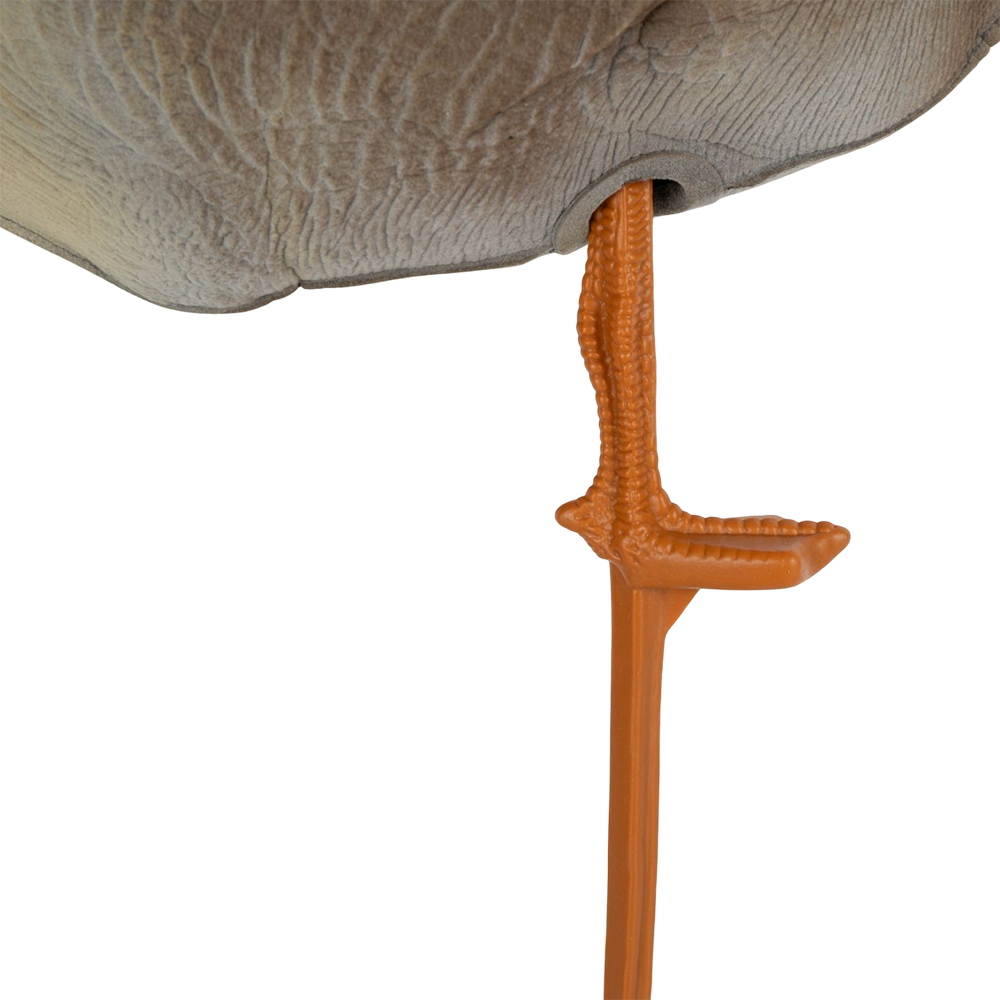 Муляж Гусь гуменник, отдыхающий, вид-2 (прямосмотрящий)  (надувной). Фото №4