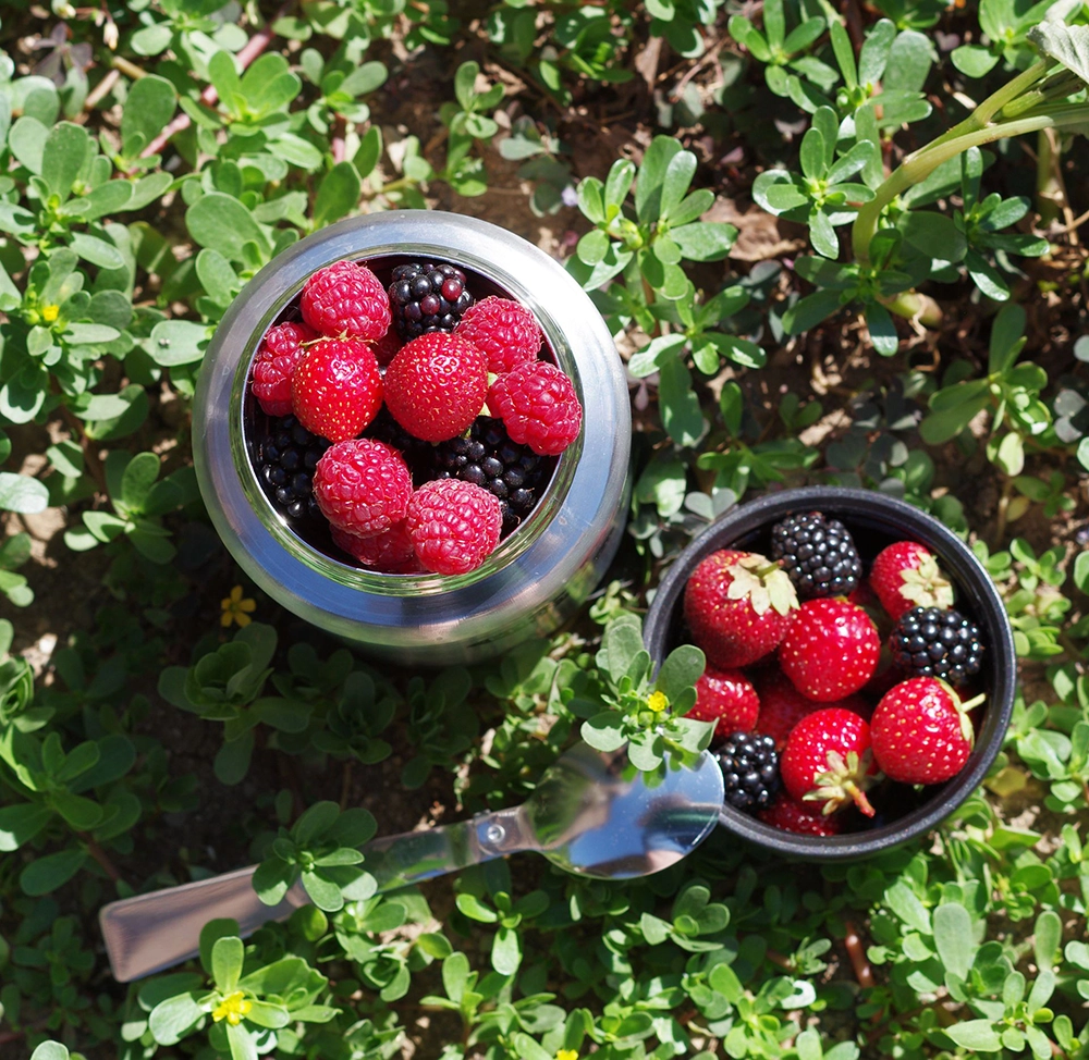 Термос BIOSTAL NTS-750V (широкое горло, суповой, + складная ложка). Фото №4 Термос BIOSTAL NTS-750V (широкое горло, суповой, + складная ложка). Фото №4