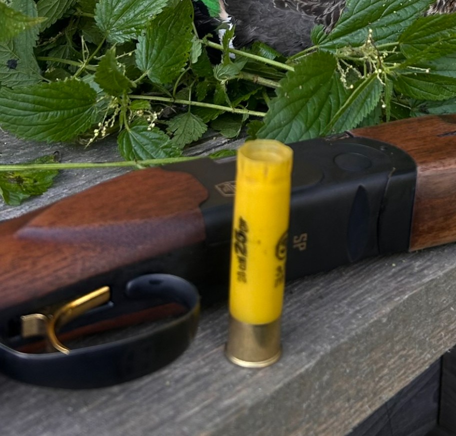 Дмитрий Кудрявцев