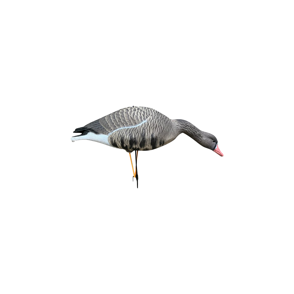 Белолобый гусь KING CUSTOM OSCAR DECOYS Speckbelly Goose Мягкий пластик 10 шт (8+2) SG10. Фото №3 Белолобый гусь KING CUSTOM OSCAR DECOYS Speckbelly Goose Мягкий пластик 10 шт (8+2) SG10. Фото №3