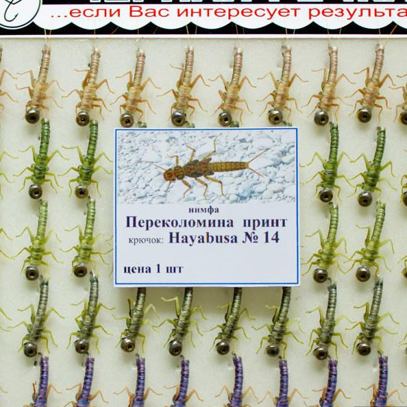Нимфа Переколомина Принт №14 (Hayabusa) (50 шт.). Фото №1