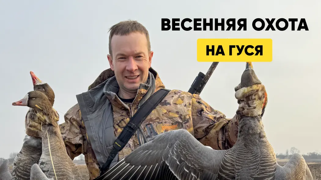 Весенняя охота на гуся: особенности, выбор чучела, как сделать скрадок