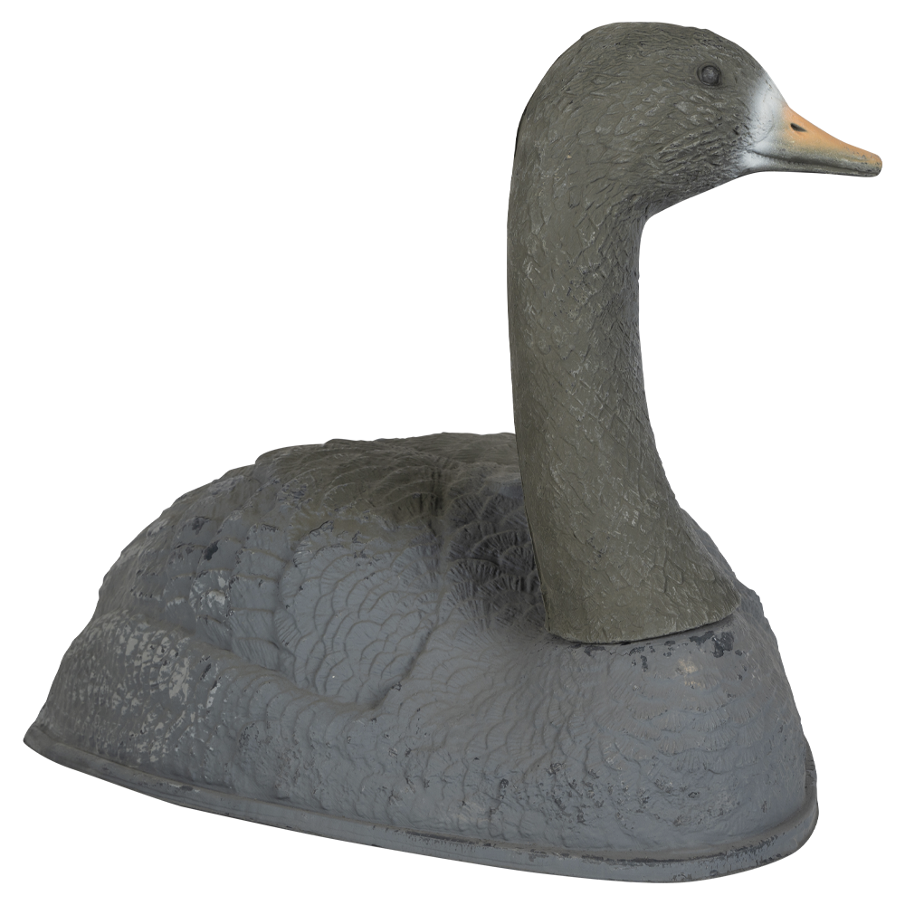 Гусь полукорпусной. Фото №4 Гусь полукорпусной. Фото №4