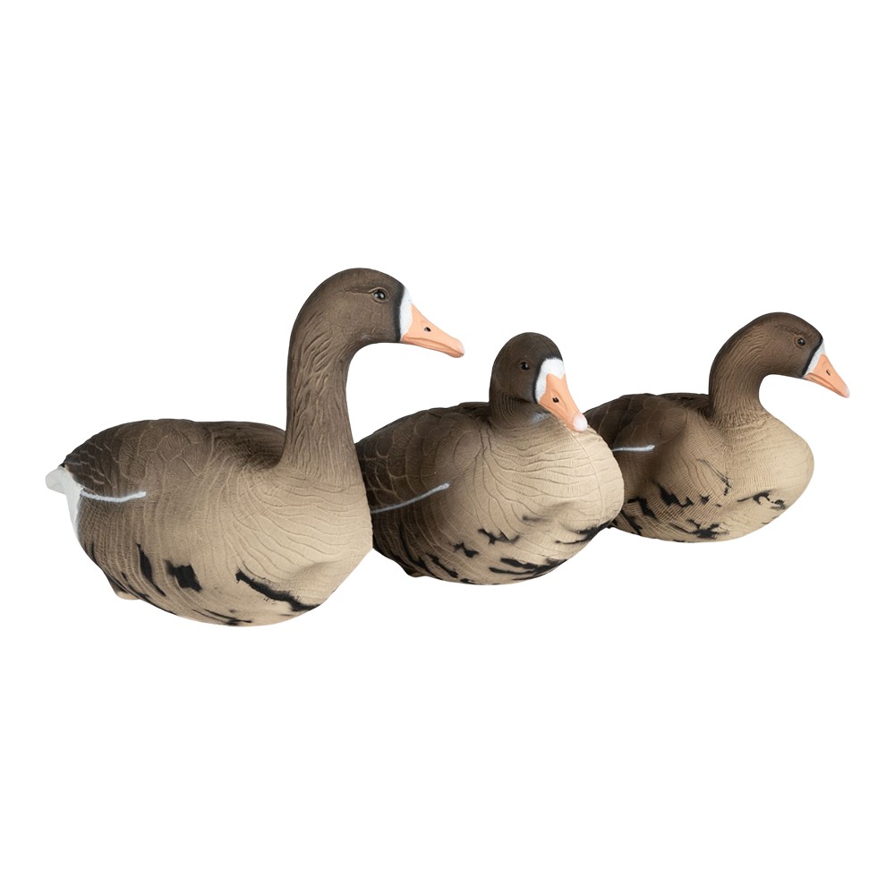 Комплект Белолобый гусь, Softplast®Softplast® 3D, BS-3D. Фото №1 Комплект Белолобый гусь, Softplast®Softplast® 3D, BS-3D. Фото №1