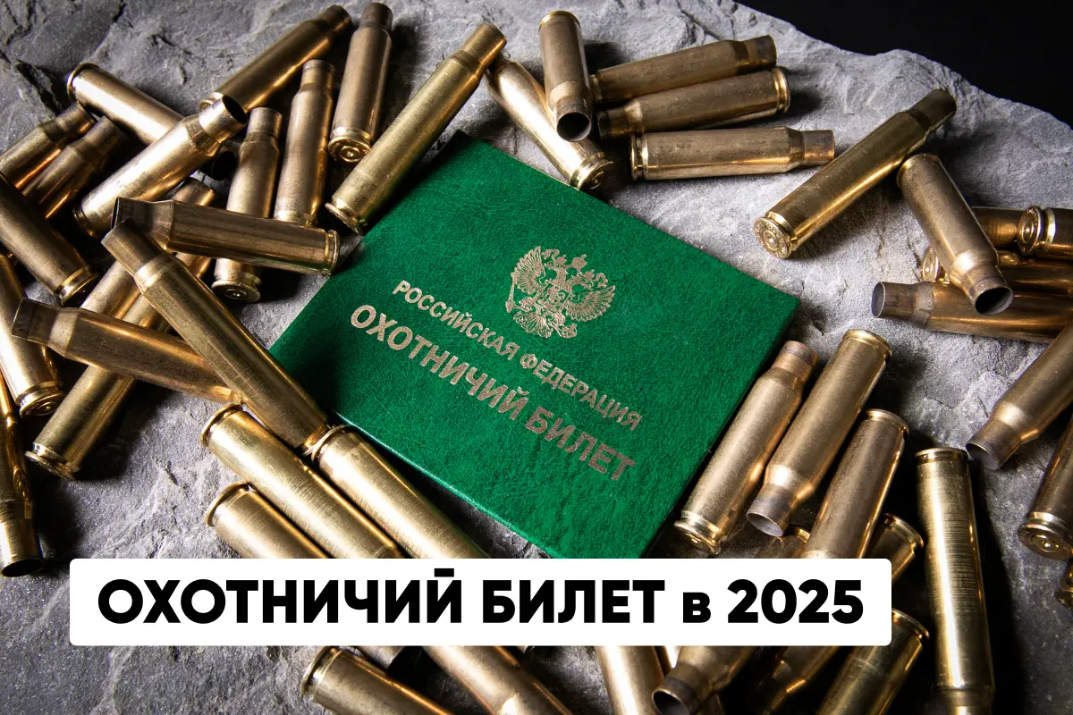 Как получить охотничий билет в 2025: экзамен на охотминимум