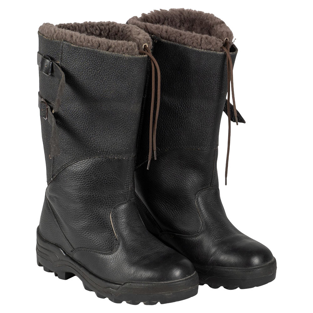 Сапоги с меховым чулком. Фото №1