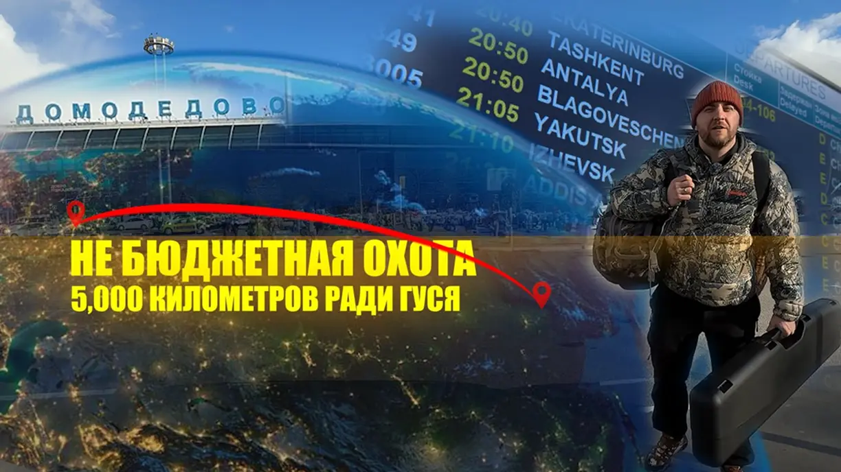 НЕ бюджетная охота на гуся